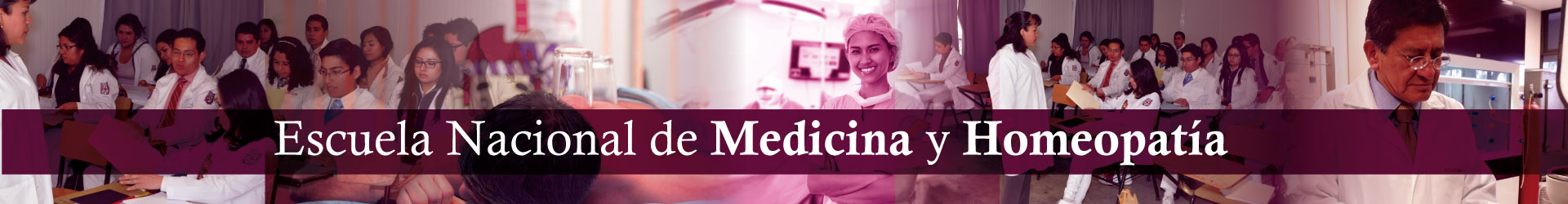 Descripción de la imagen